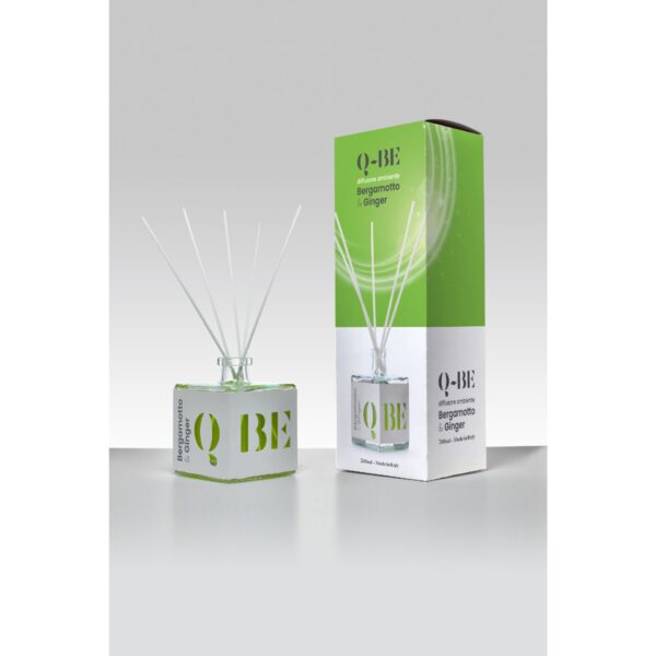 43461210-ae5a-11ef-9c47-f9d27f9010b3