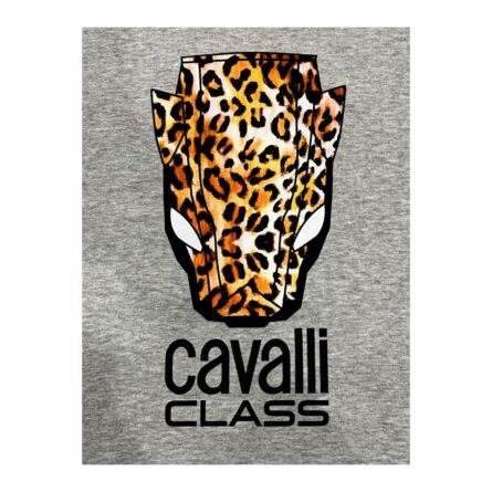 Cavalli Class QXT67YCF062_05014GreyMelange - Image 4