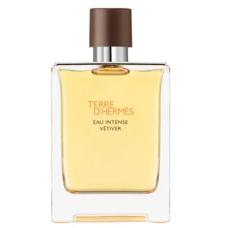 Terre D´Hermès Eau Intense Vetiver Spray 50ml - Image 1