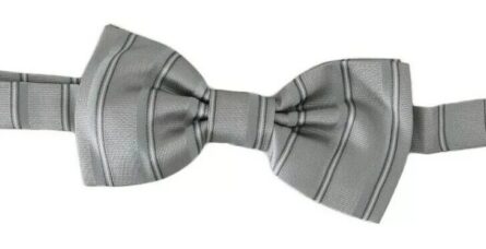 Light Gray Lining Adjustable Neck Butterfly Bow Tie - Image 2